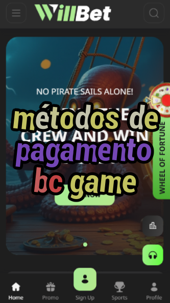 Métodos de Pagamento BC Game - Portuguese Guide-vz72fvrf.com